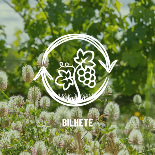 Regenerative Wine Fest - Bilhete Simples